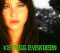 Jennifer as Katniss Everdeen - jennifer-lawrence fan art