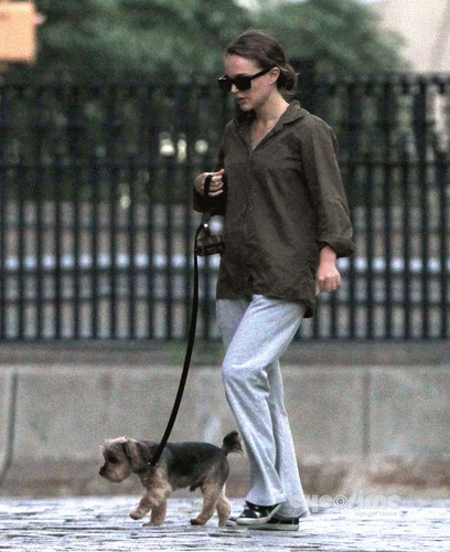 Natalie Portman spotted walking her Dog in NY, Aug 18