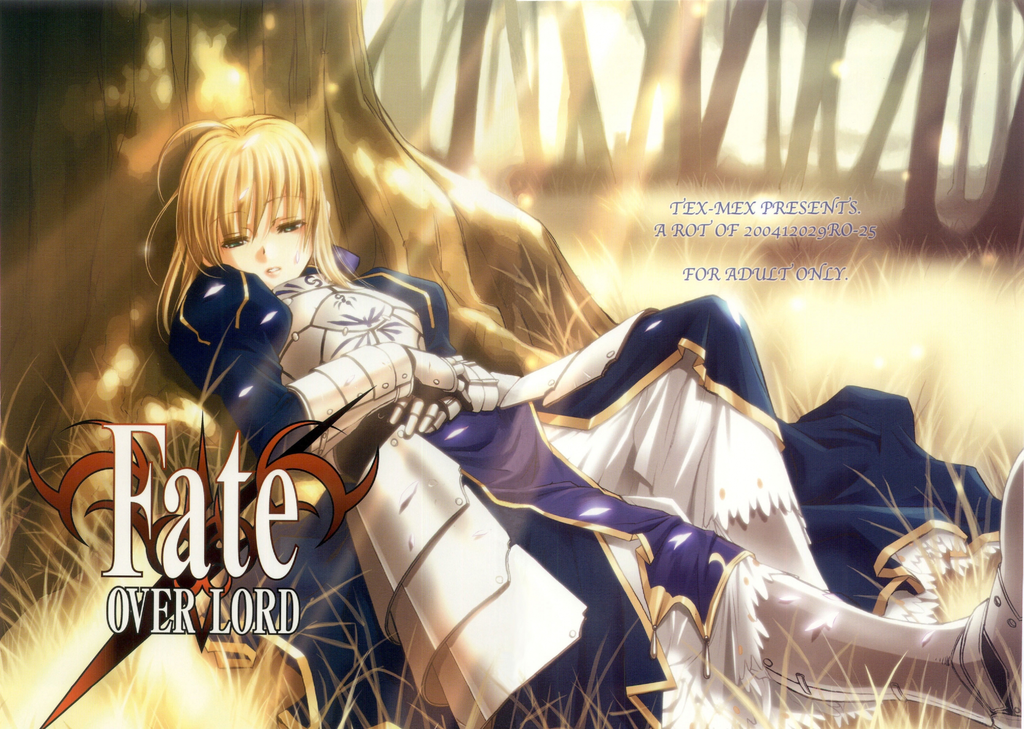 Saber ( Fate/Stay Night ) - Fate Stay Night Photo (24684528) - Fanpop