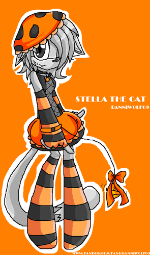  Stella the cat