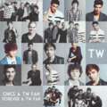 TW! (I Will ALWAYS Support TW No Matter What :) 100% Real ♥  - the-wanted fan art