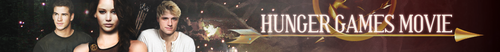  The Hunger Games movie banner