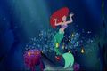 The little Mermaid ♥ - disney-princess fan art