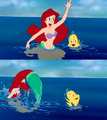 The little mermaid ♥ - disney-princess fan art