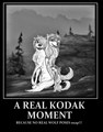 a real kodak moment by jennawolf48 - alpha-and-omega fan art