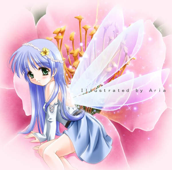 blue fairy - Anime fever Photo (24685331) - Fanpop