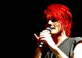 Cute pictures of... guess who!! - gerard-way photo