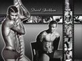 david-beckham - David Beckham Emporio Armani wallpaper