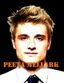 Peeta - Hunger Games Guys Fan Art (24636980) - Fanpop