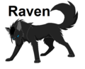 Raven - alpha-and-omega fan art