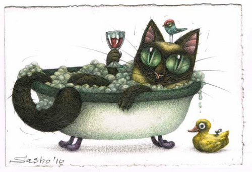  Siamese cat...rubber duckie bath