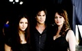 The Vampire Diaries ღ - the-vampire-diaries wallpaper