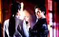 The Vampire Diaries ღ - the-vampire-diaries wallpaper