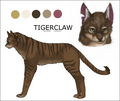 Tigerclaw - make-your-own-warrior-cat fan art