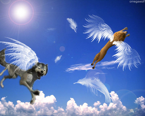 Wolves in the sky!!  XD