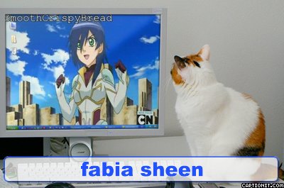 cat watching fabia on the monitor