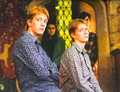 James and Oliver Phelps - harry-potter photo
