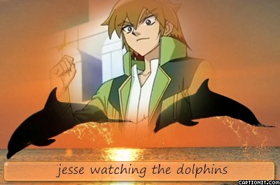 jesse watching the dolphins