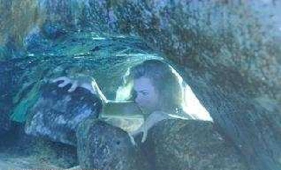 bella and will underwater - H2O Just Add Water Photo 