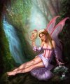Fairies - fairies photo
