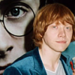 Harry Potter Cast - harry-potter icon