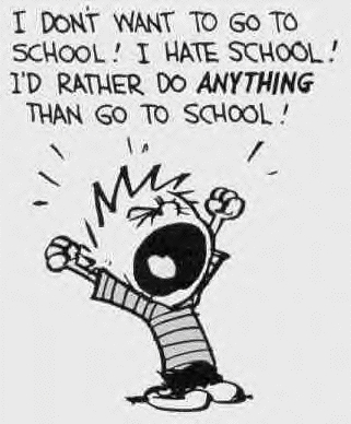  Hate School