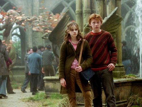  Ron and Hermione wolpeyper