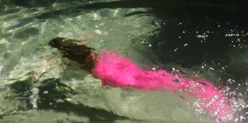 Sapphire swimming in her pink tail