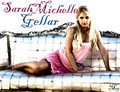 Sarah Michelle Gellar - sarah-michelle-gellar fan art