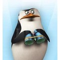 Skipper - penguins-of-madagascar photo