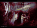 Buffy the Vampire Slayer - buffy-the-vampire-slayer wallpaper