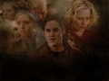 Buffy the Vampire Slayer - buffy-the-vampire-slayer wallpaper