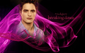 twilight-series - Edward Cullen Breaking Dawn wallpaper
