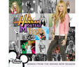 Hannah Montana Forever in my Heart - hannah-montana photo