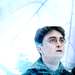 Harry Potter - harry-potter icon