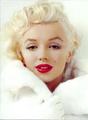 Marilyn Monroe - xxmjloverxx photo