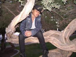 Roc Royal in a Tree