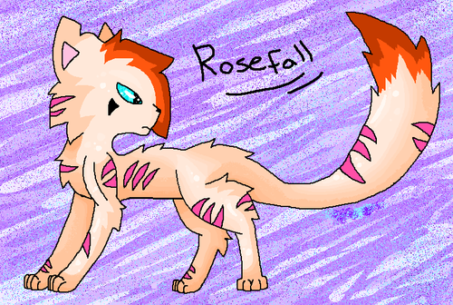 Rosefall