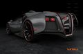 2013 Bugatti Veyron - exotic-cars photo