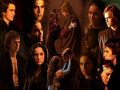 Anakin and Padme wallpapers - anakin-and-padme photo