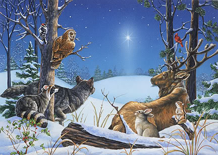 Christmas animals - Christmas Photo (25051320) - Fanpop