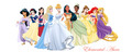 Disney Princess Line-Up Mermaid Ariel - disney-princess photo