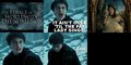 HP - harry-potter-vs-twilight fan art