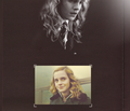 Hermione Granger - hermione-granger fan art