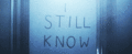 I (Still) Know What You Did Last Summer - horror-movies fan art