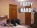 PARTY HARD XD - funnyfunny photo