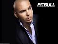 music - Pitbull wallpaper