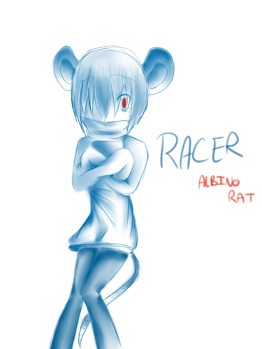  Racer the albino con chuột