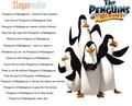 Slogans for The Penguins of Madagascar - penguins-of-madagascar fan art