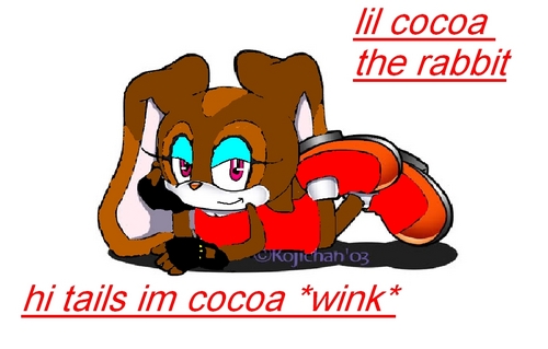  biji cokelat, kakao the rabbit